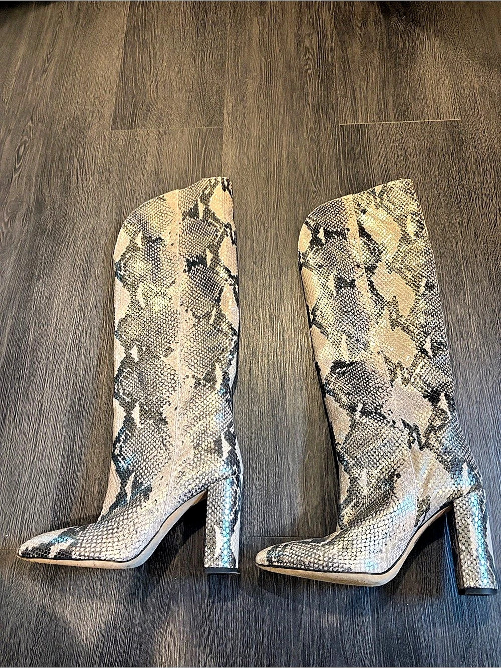 Paris Texas 100mm Lavinia boots Python Print Over-the-Knee Boots